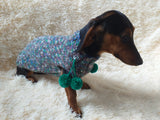 Wool aran sweater for mini dachshund or small dog, dachshund puppy sweater, terrier sweater, small dog sweater