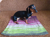 Handmade knitted wool blanket for dog, cat, dachshund, cozy warm pet wool blanket, knitted blanket for dogs or cats