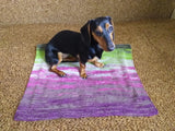 Handmade knitted wool blanket for dog, cat, dachshund, cozy warm pet wool blanket, knitted blanket for dogs or cats