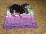 Handmade knitted wool blanket for dog, cat, dachshund, cozy warm pet wool blanket, knitted blanket for dogs or cats