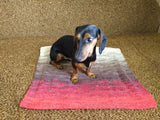 Handmade knitted wool blanket for dog, cat, dachshund, cozy warm pet wool blanket, knitted blanket for dogs or cats