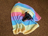 Knitted Rainbow Striped Pet Blanket, Colorful Blanket for Dog, Cat, Baby, Dachshund Blanket, Cozy pet blanket, knitted litter for dog or cat