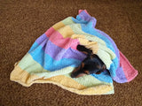 Knitted Rainbow Striped Pet Blanket, Colorful Blanket for Dog, Cat, Baby, Dachshund Blanket, Cozy pet blanket, knitted litter for dog or cat