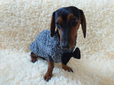 Dachshund or small dog gray sweater with black bow dachshundknit