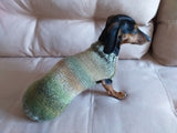 Warm coat for wiener dog, Miniature Dachshund Knitted Jumper, Dachshund clothes knitted sweater, wool sweater for dachshund or small dog dachshundknit
