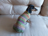 Warm coat for wiener dog, Miniature Dachshund Knitted Jumper, Dachshund clothes knitted sweater, wool sweater for dachshund or small dog dachshundknit