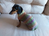 Warm coat for wiener dog, Miniature Dachshund Knitted Jumper, Dachshund clothes knitted sweater, wool sweater for dachshund or small dog dachshundknit