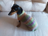 Warm coat for wiener dog, Miniature Dachshund Knitted Jumper, Dachshund clothes knitted sweater, wool sweater for dachshund or small dog dachshundknit