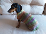 Warm coat for wiener dog, Miniature Dachshund Knitted Jumper, Dachshund clothes knitted sweater, wool sweater for dachshund or small dog dachshundknit