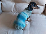 Warm coat for wiener dog, Miniature Dachshund Knitted Jumper, Dachshund clothes knitted sweater, wool sweater for dachshund or small dog dachshundknit