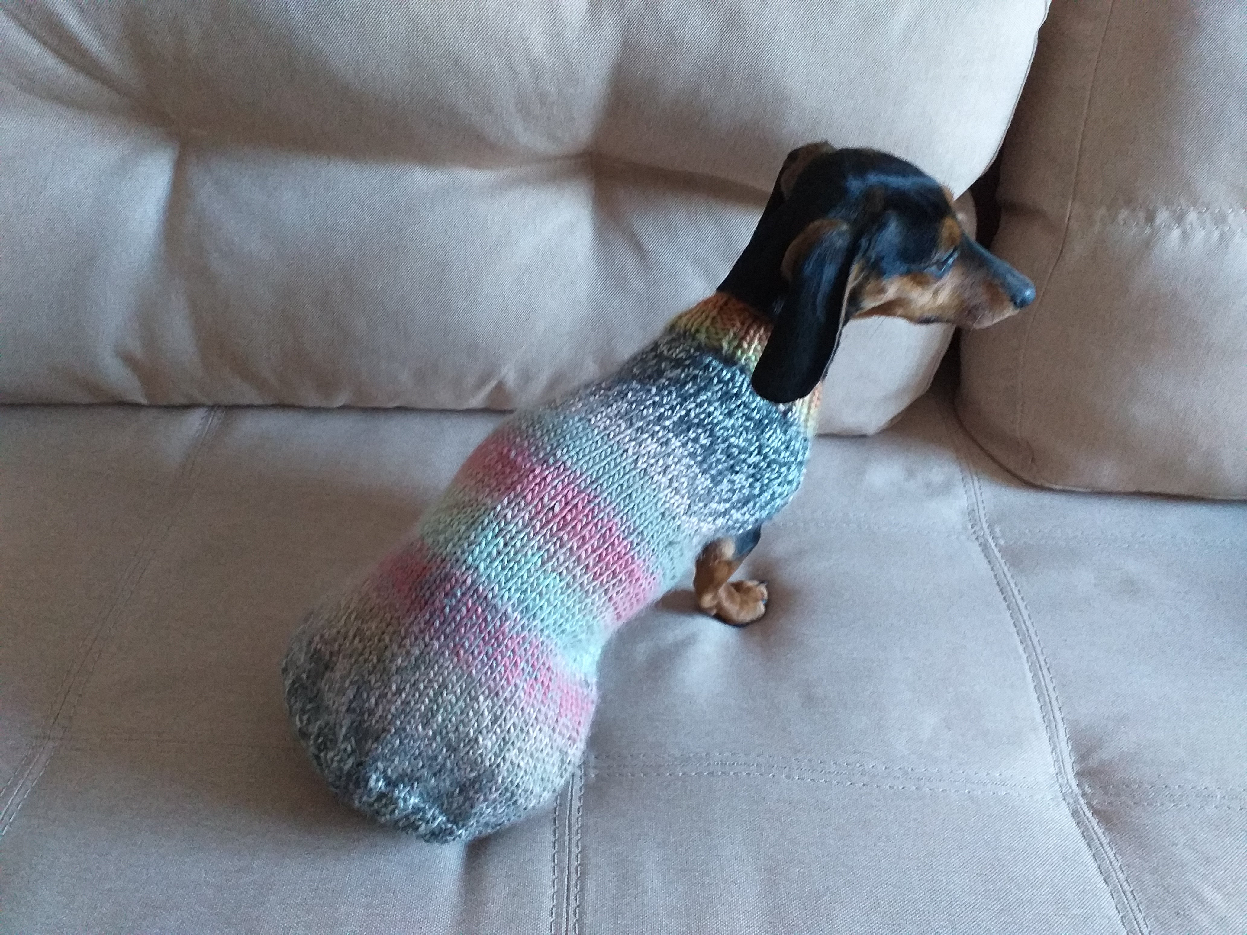 Size ХL Warm coat for dachshund puppy or small dog, knitted jumper
