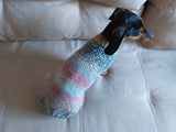 Size ХL Warm coat for dachshund puppy or small dog, knitted jumper for dachshund, dachshund puppy clothes, wool sweater for small dog dachshundknit
