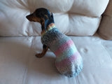 Size ХL Warm coat for dachshund puppy or small dog, knitted jumper for dachshund, dachshund puppy clothes, wool sweater for small dog dachshundknit