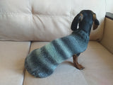 Warm coat for wiener dog, Miniature Dachshund Knitted Jumper, Dachshund clothes knitted sweater, wool sweater for dachshund or small dog dachshundknit