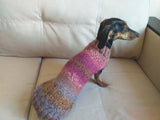 Warm coat for wiener dog, Miniature Dachshund Knitted Jumper, Dachshund clothes knitted sweater, wool sweater for dachshund or small dog dachshundknit