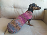 Warm coat for wiener dog, Miniature Dachshund Knitted Jumper, Dachshund clothes knitted sweater, wool sweater for dachshund or small dog dachshundknit