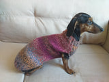 Warm coat for wiener dog, Miniature Dachshund Knitted Jumper, Dachshund clothes knitted sweater, wool sweater for dachshund or small dog dachshundknit