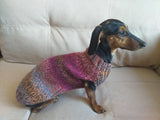 Warm coat for wiener dog, Miniature Dachshund Knitted Jumper, Dachshund clothes knitted sweater, wool sweater for dachshund or small dog dachshundknit