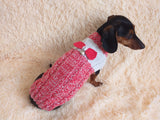 Size L Sweater for mini dachshund with bow,cloches for dachshund or small dog dachshundknit