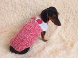 Size L Sweater for mini dachshund with bow,cloches for dachshund or small dog dachshundknit