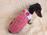 Size L Sweater for mini dachshund with bow,cloches for dachshund or small dog dachshundknit
