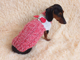 Size L Sweater for mini dachshund with bow,cloches for dachshund or small dog dachshundknit