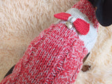 Size L Sweater for mini dachshund with bow,cloches for dachshund or small dog dachshundknit