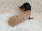 Dachshund clothes knitted sweater, knitted wool sweater for dachshund or small dog dachshundknit