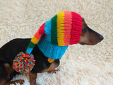 Rainbow Striped Christmas Dog Hat dachshundknit