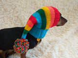 Rainbow Striped Christmas Dog Hat dachshundknit