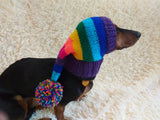 Rainbow Striped Christmas Dog Hat dachshundknit