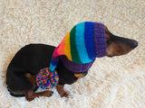 Rainbow Striped Christmas Dog Hat dachshundknit