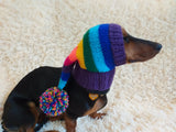 Rainbow Striped Christmas Dog Hat dachshundknit
