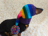 Rainbow Striped Christmas Dog Hat dachshundknit