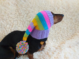 Rainbow Striped Christmas Dog Hat dachshundknit