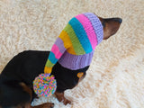Rainbow Striped Christmas Dog Hat dachshundknit