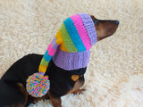 Rainbow Striped Christmas Dog Hat dachshundknit