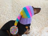 Rainbow Striped Christmas Dog Hat dachshundknit