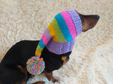 Rainbow Striped Christmas Dog Hat dachshundknit