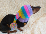 Rainbow Striped Christmas Dog Hat dachshundknit