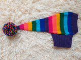 Rainbow Striped Christmas Dog Hat dachshundknit