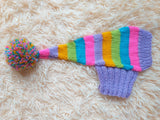 Rainbow Striped Christmas Dog Hat dachshundknit