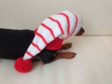 Christmas hat for dog, Santa hat for dog, hat for dog, hat for small dog, hat for dachshund, doxie clothes, doxie hat dachshundknit