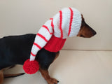 Christmas hat for dog, Santa hat for dog, hat for dog, hat for small dog, hat for dachshund, doxie clothes, doxie hat dachshundknit