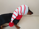 Christmas hat for dog, Santa hat for dog, hat for dog, hat for small dog, hat for dachshund, doxie clothes, doxie hat dachshundknit