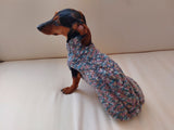 Dachshund or small dog gray sweater with black bow dachshundknit
