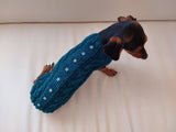 Christmas sweater with stars for dog dachshundknit
