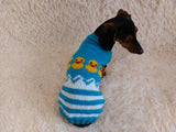 Clothes for dogs sweater with ducks, jumper with ducks for dachshund dachshundknit