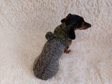 Winter wool coat with hood for dachshund or small dog. dachshundknit