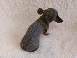 Winter wool coat with hood for dachshund or small dog. dachshundknit